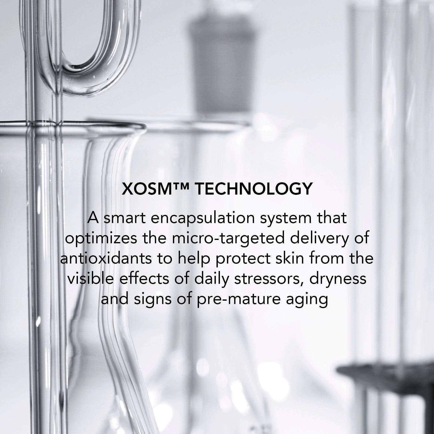 Product view